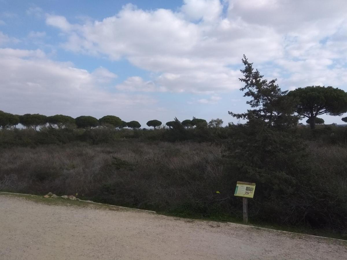 Tu Denscanso En Valdelagrana Frente Al Mar El Puerto de Santa Maria Bagian luar foto